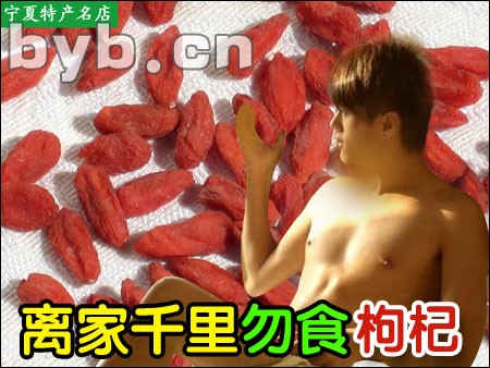 供应宁夏枸杞批发,零售,礼品